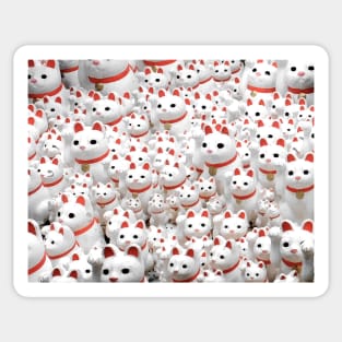 Japanese Lucky Cats All Over Sticker